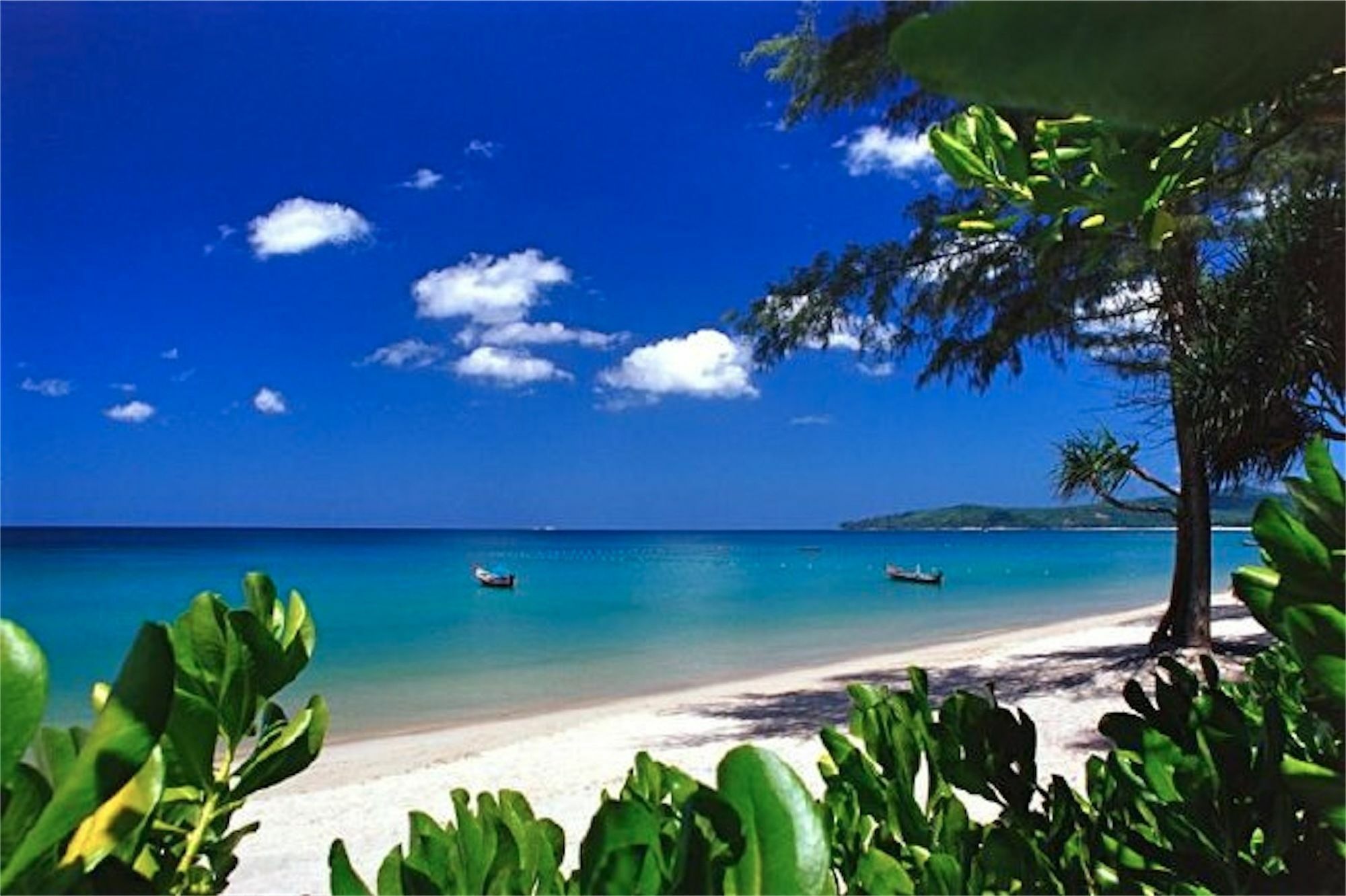 Bliss 3 Bedrooms Sea View